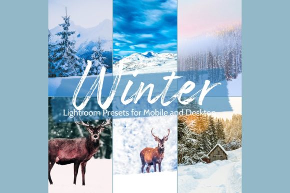 Download 10 Winter Wonderland Lightroom Presets - Presets Collection