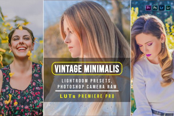 Download 10 Vintage Minimalist Presets and Luts - Presets Collection