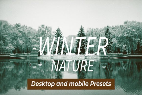 Download Winter Nature Lightroom Presets - Presets Collection