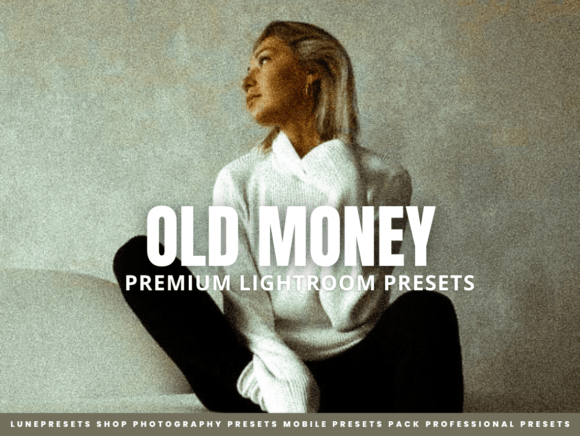 Download Old Money Lightroom Presets - Presets Collection