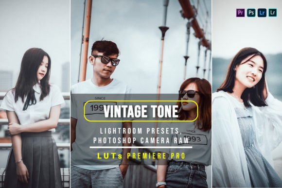 Download 10 Vintage Tone Presets and Luts - Presets Collection