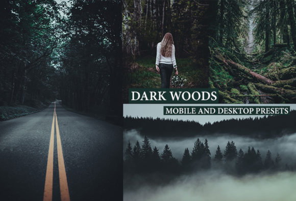 Download Cinematic Dark Woods Lightroom Presets - Presets Collection