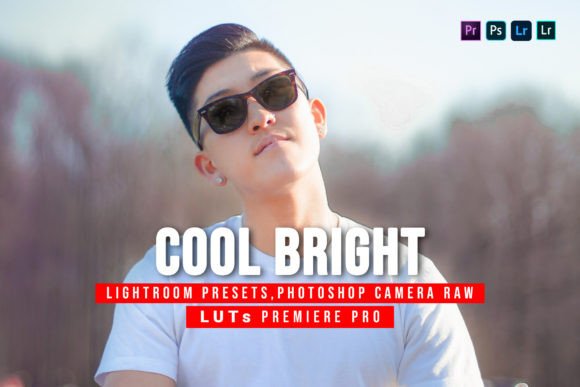 Download 10 Cool Bright Presets and Luts - Presets Collection