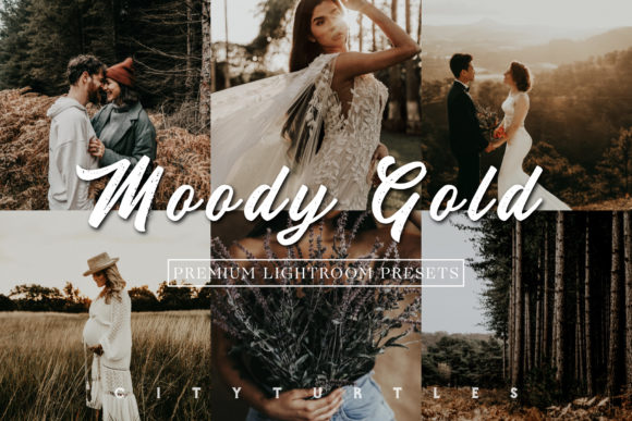 Download Moody Gold Rustic Lightroom Presets - Presets Collection