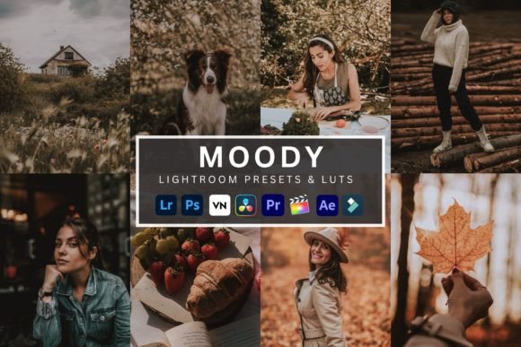 Download Moody Lightroom Presets &amp; Luts - Presets Collection