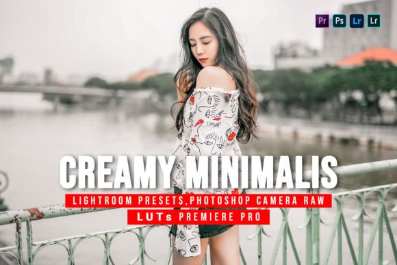 Download 5 Creamy Minimalist Presets and Luts - Presets Collection