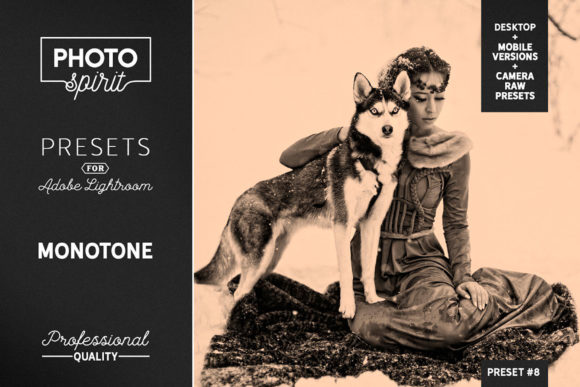 Download Monotone LR Presets Mobile + Desktop - Premium Resources