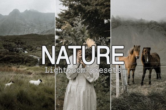Download 9 Nature Lightroom Presets - Presets Collection