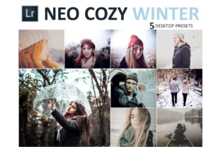 Download Neo Cozy Winter Desktop Lightroom Presets - Presets Collection