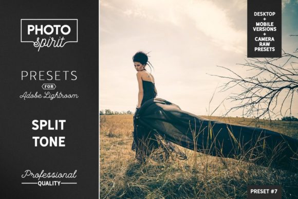Download Split Tone Presets Mobile + Desktop - Premium Bundle