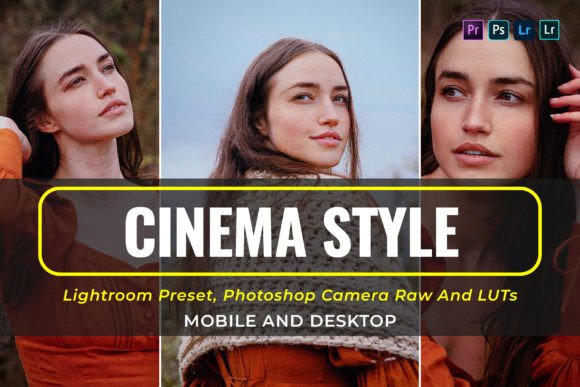 Download 10 Cinema Style Presets and Luts - Presets Collection
