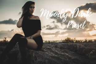 Download Lightroom Presets - Moody Dark - Presets Collection